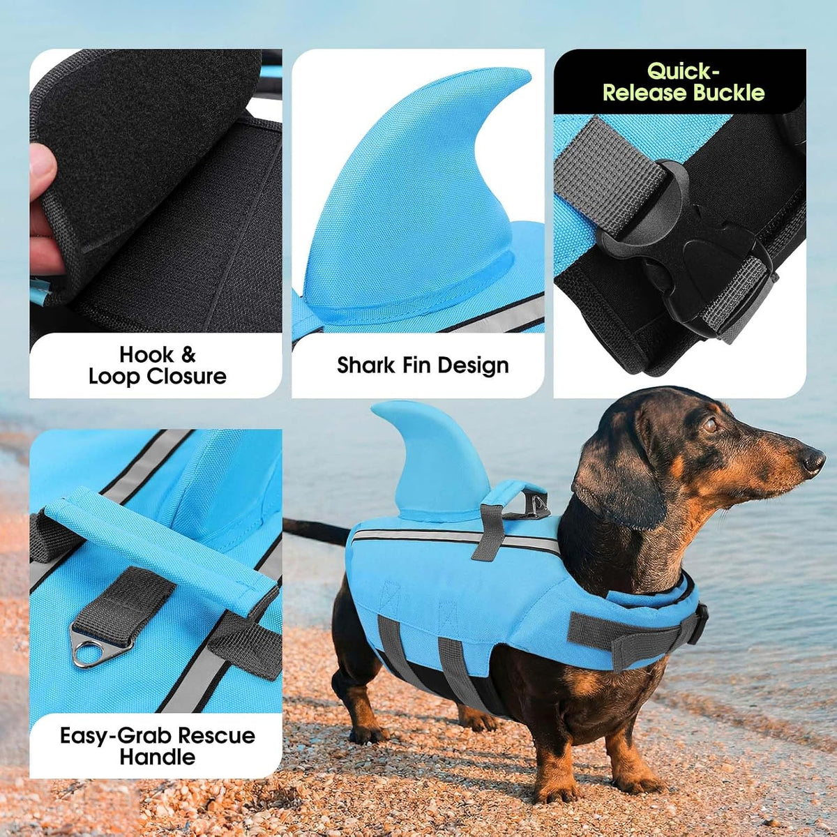 Side profile of small breed dog wearing blue shark flotation jacket.