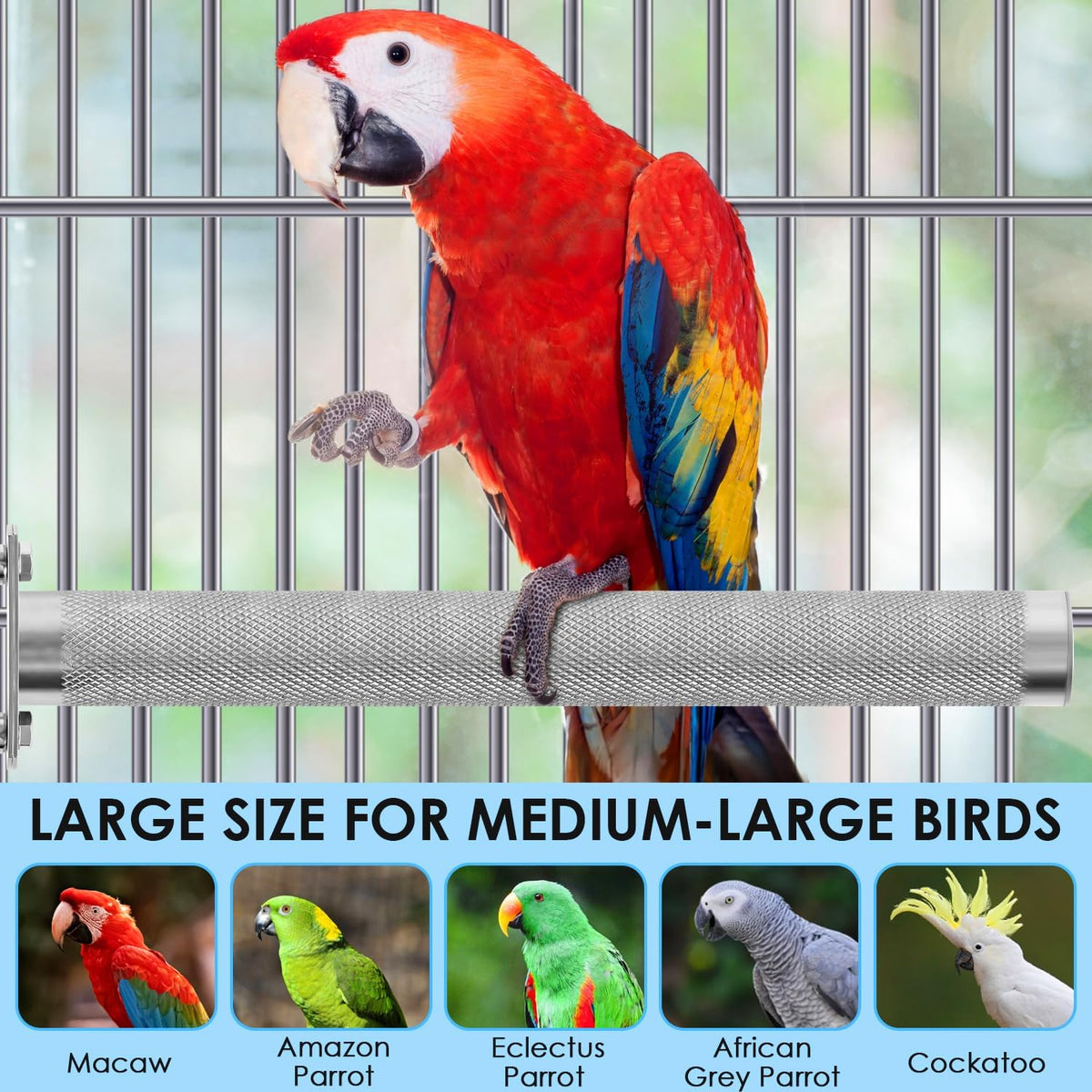KATUMO Parrot Perch - Stainless Steel African Grey Perch Bird Cage Accessories for Small to Large Parrots (11.8 x 1.2 inch) - Image 5