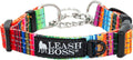 Leash Boss Martingale Dog Collar front view showing the premium stainless steel chain