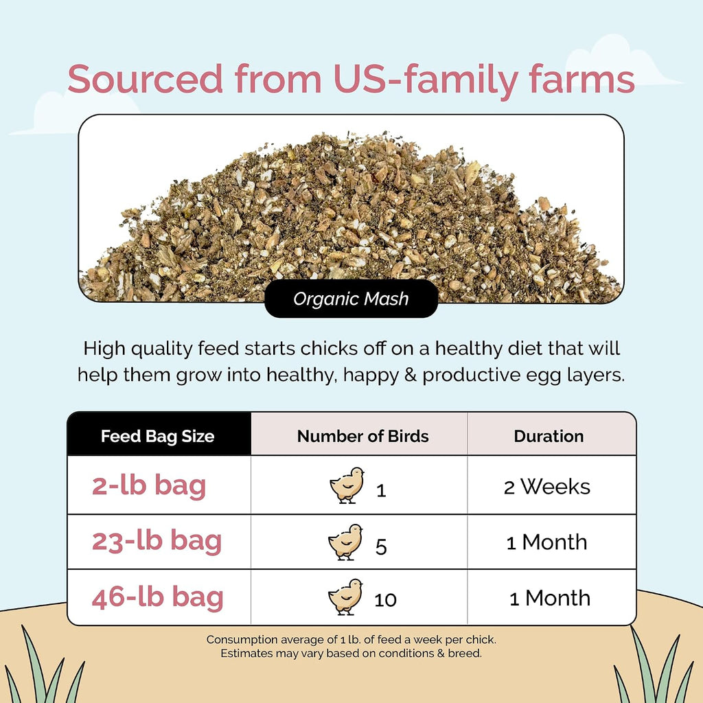 Comparison of Mile Four mash versus pellet chicken feed textures