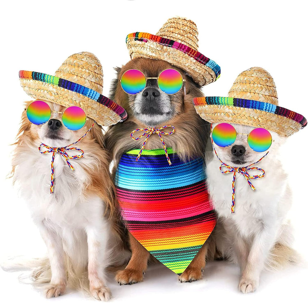 Full set of Ramede dog fiesta costume accessories displayed