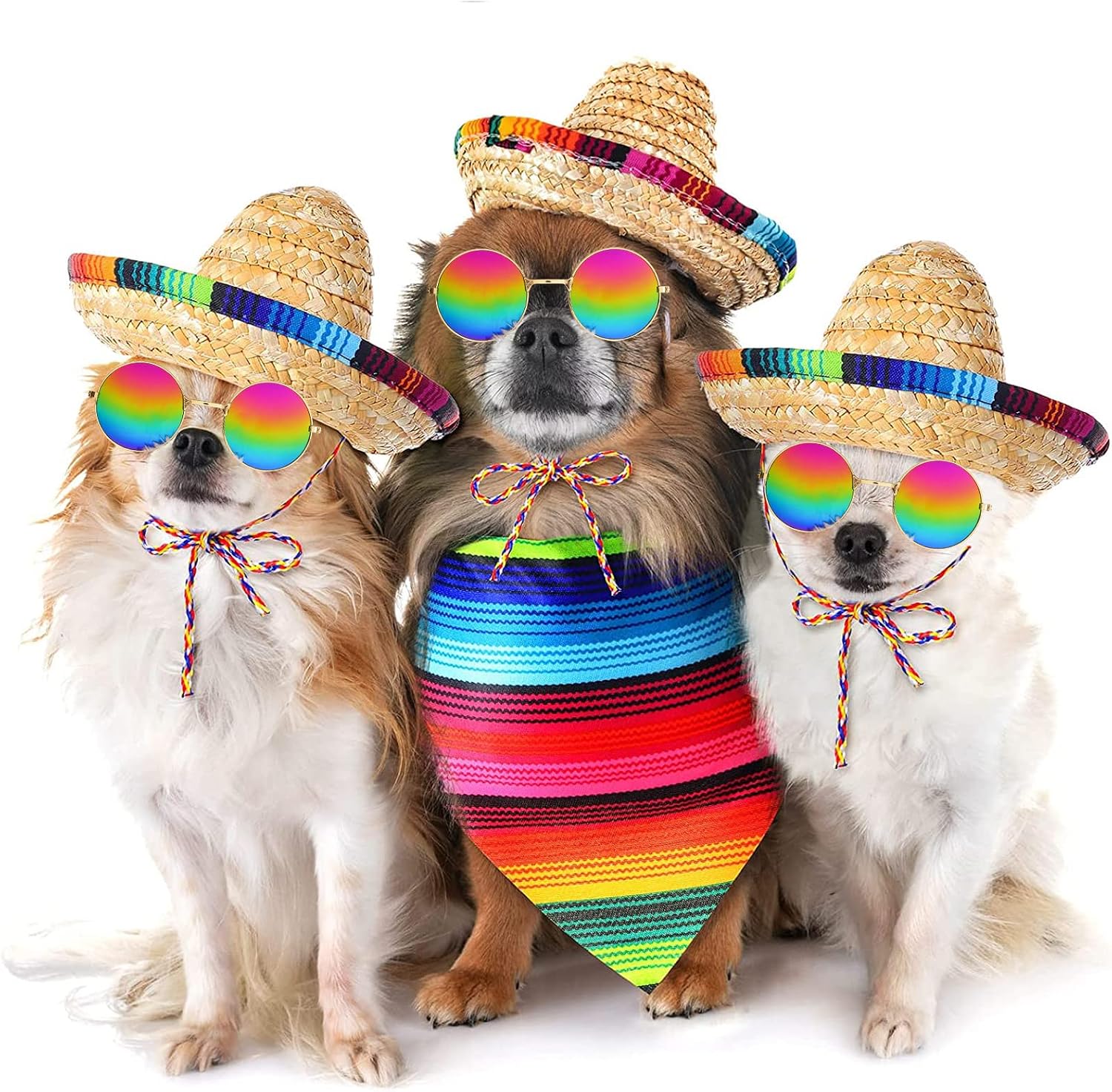 Full set of Ramede dog fiesta costume accessories displayed