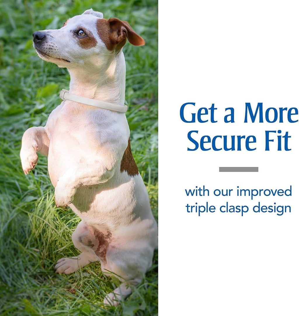 Close up of PetArmor flea and tick collar buckle mechanism