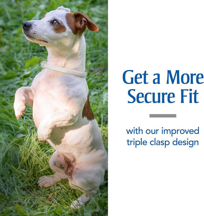 Close up of PetArmor flea and tick collar buckle mechanism