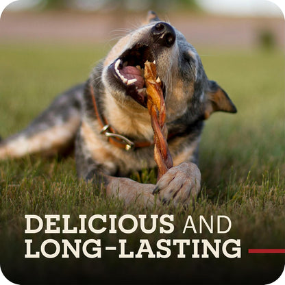 Healthy roasted beef muscle treats for small and large dogs