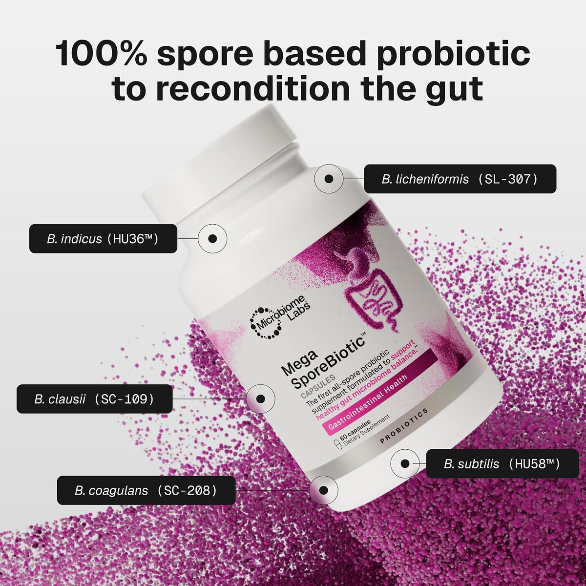 Microbiome Labs MegaSporeBiotic capsule ingredient details