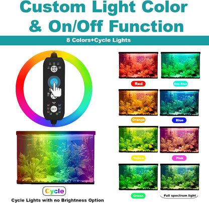 Seaoura submersible light installed in aquarium