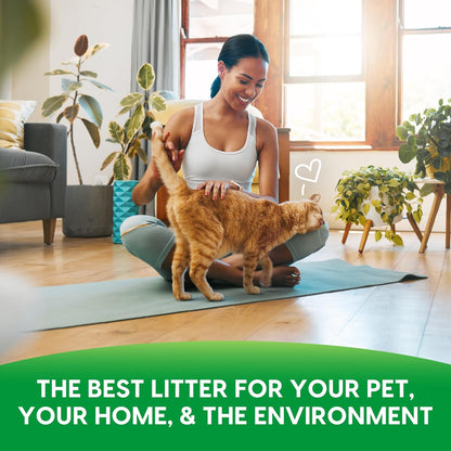 Fresh News imported USA cat litter for multi-pet households