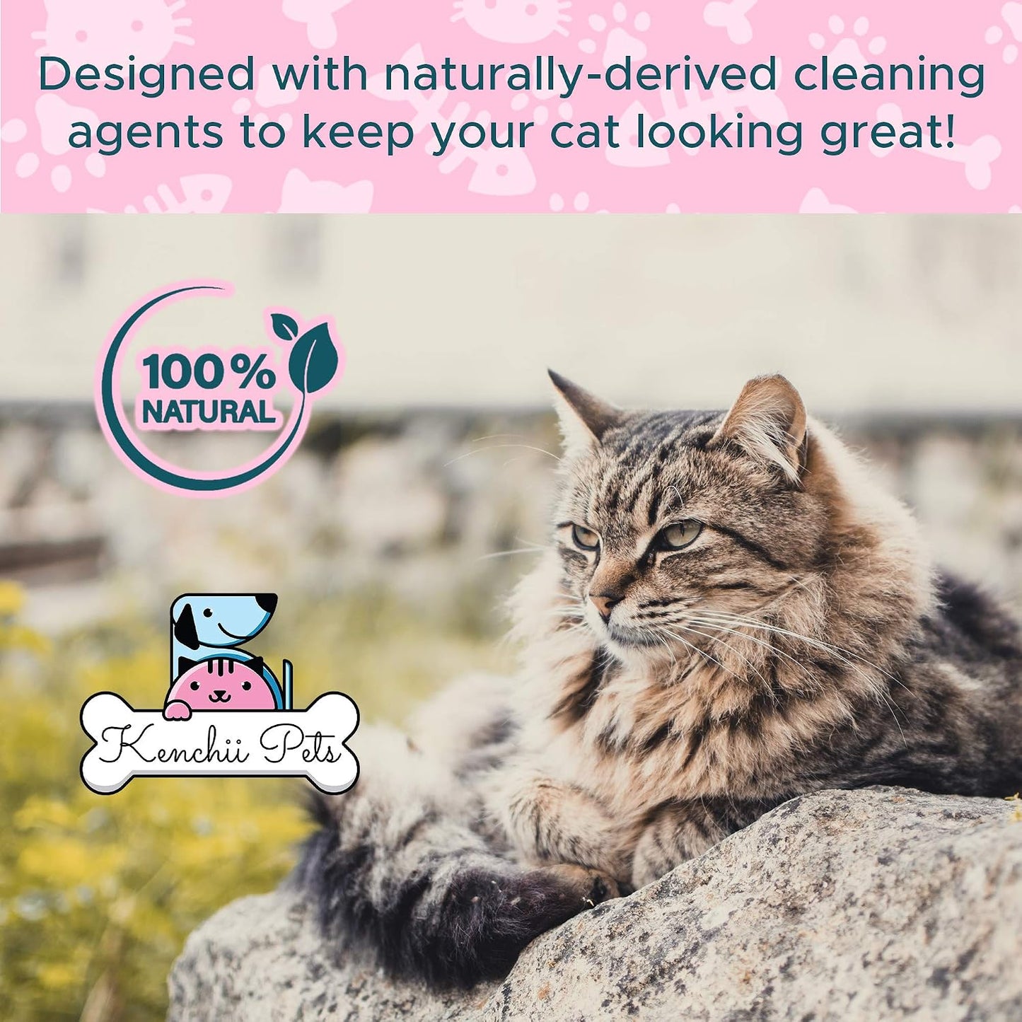 Professional cat grooming spray for all-natural coat shine