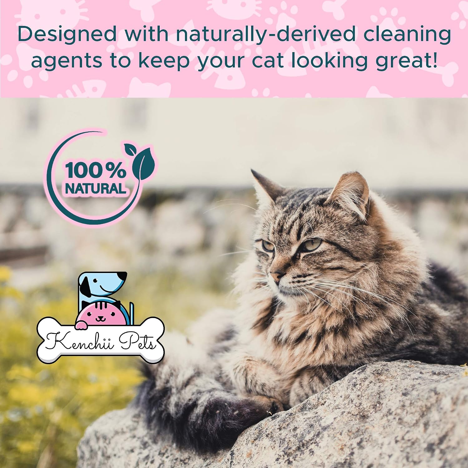 Professional cat grooming spray for all-natural coat shine