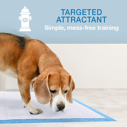 Measurement demonstration of twenty two by twenty three inches dog floor protection pad.