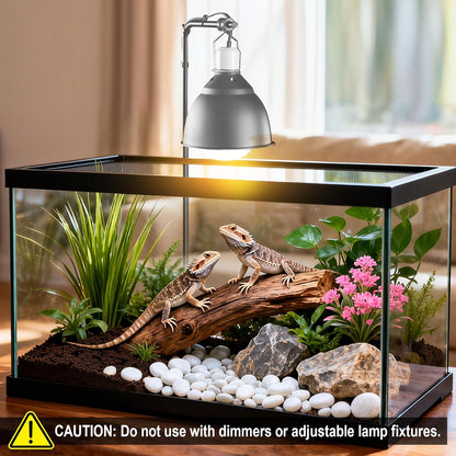 Repti Zoo terrarium heat lamp emitting natural simulated sunlight for desert lizards