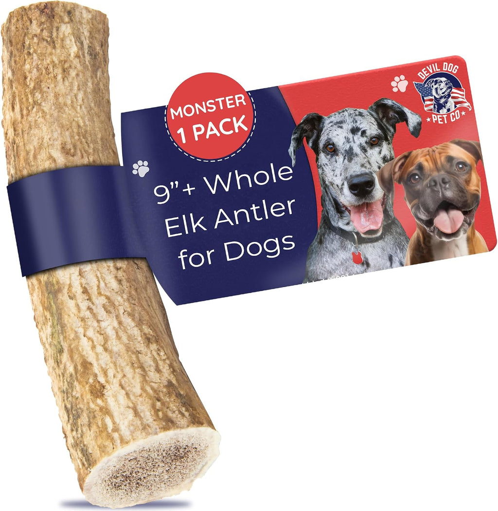 Devil Dog Pet Co. Elk Antlers for Dogs, Natural Dog Chew for Aggressive Chewers - Long Lasting and Odor Free - USA Sourced - Cleaner Teeth, Anxiety & Boredom Relief - Whole Medium 5"+ - Antler Bone - Image 10