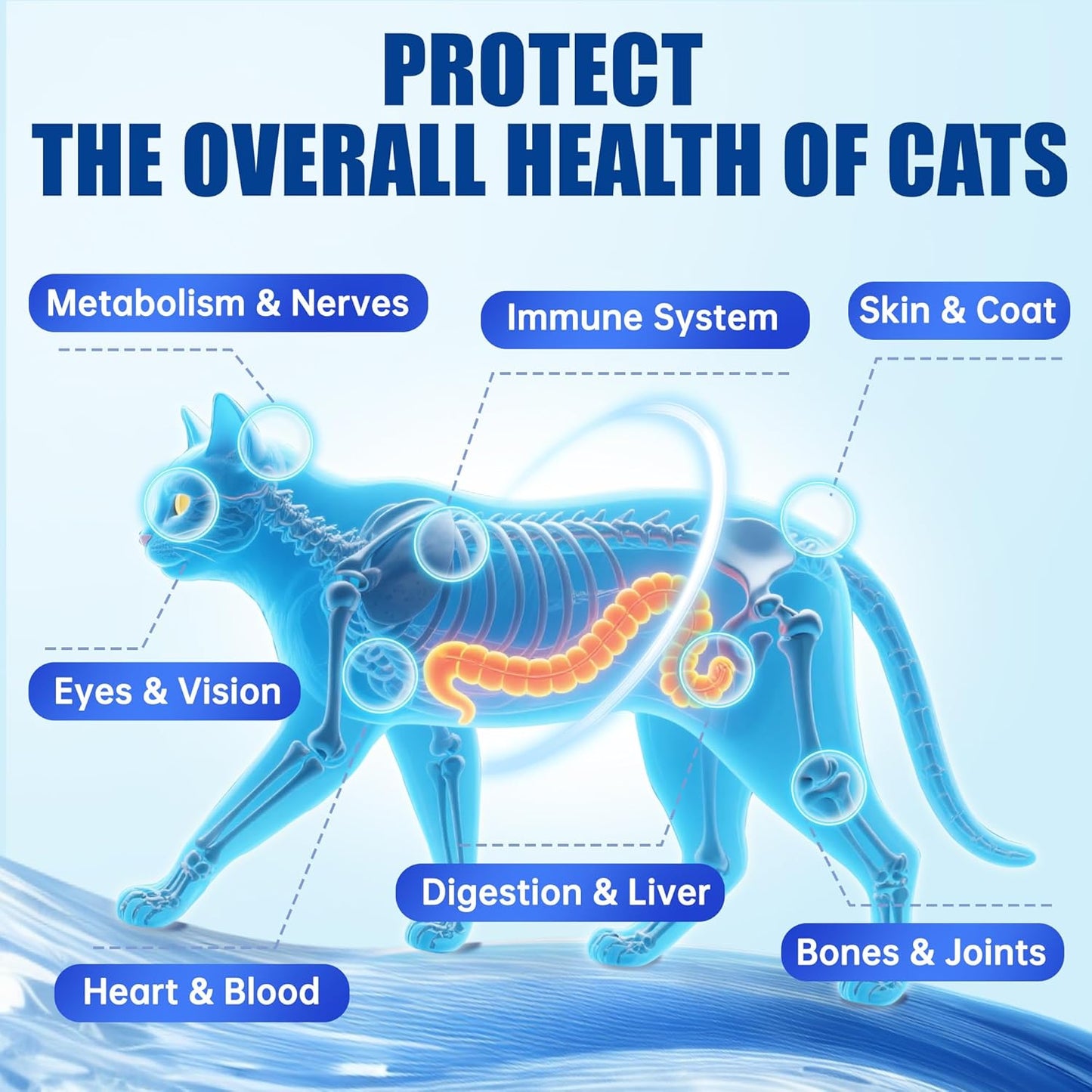 Just Try indoor and senior cat vitamins container displaying immune and joint support labels.