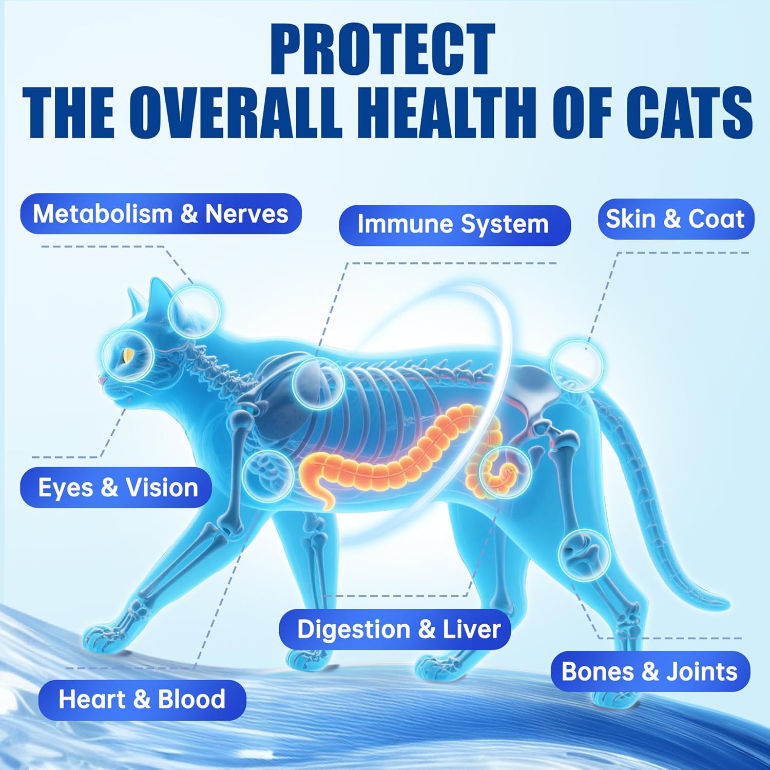 Just Try indoor and senior cat vitamins container displaying immune and joint support labels.