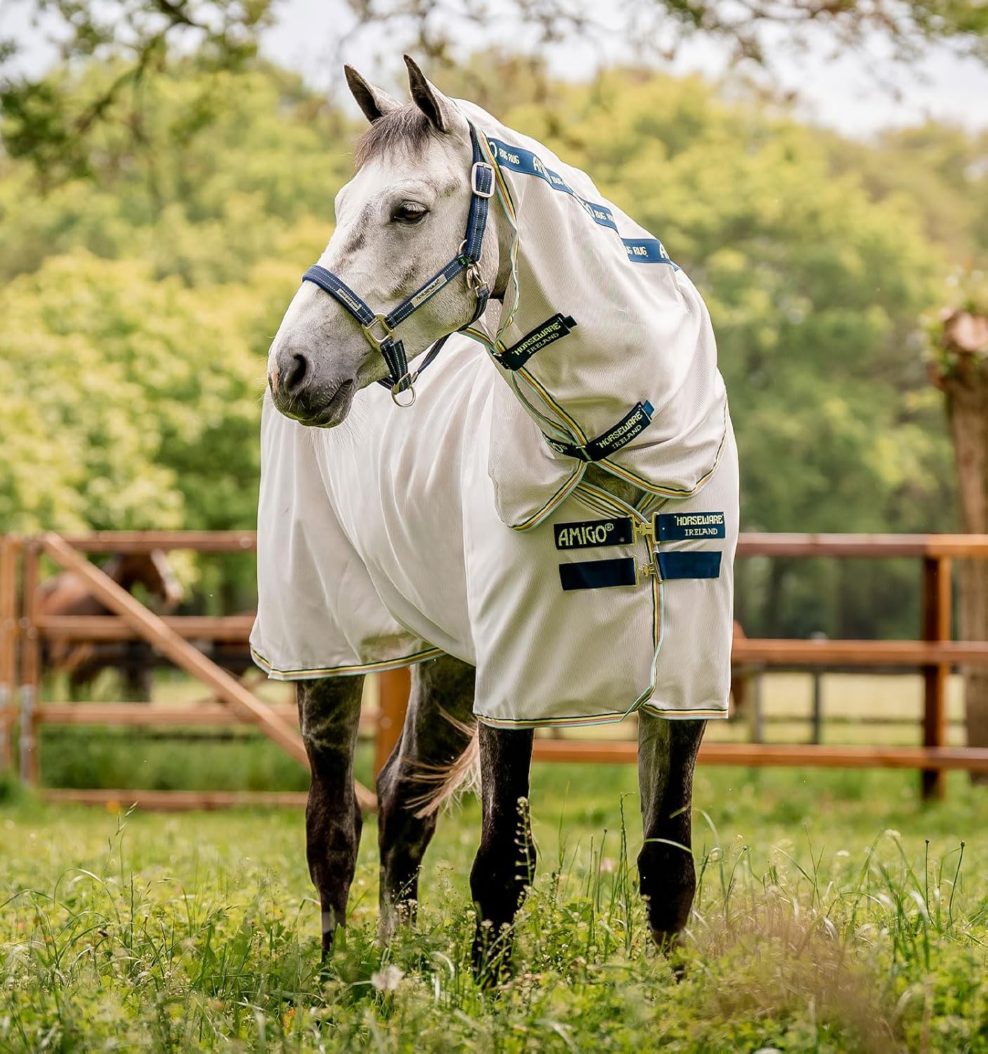 Close up of the silver mesh fabric on the Horseware Amigo Bug Rug showing UV protection properties.