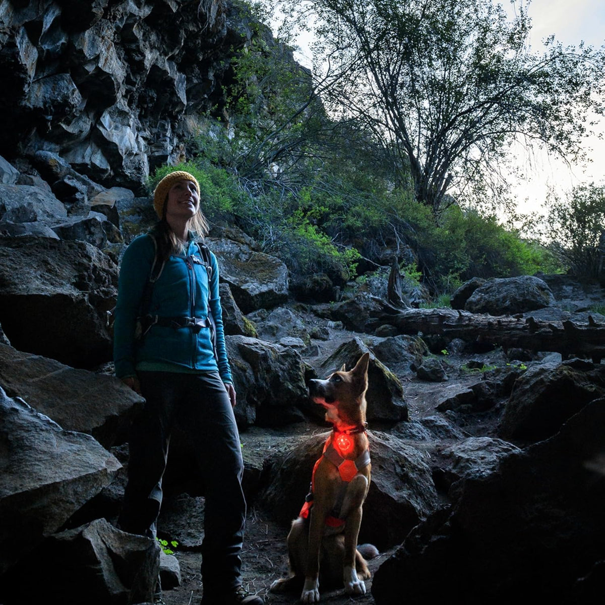 Water-resistant pet gear accessory being tested under heavy outdoor rain conditions