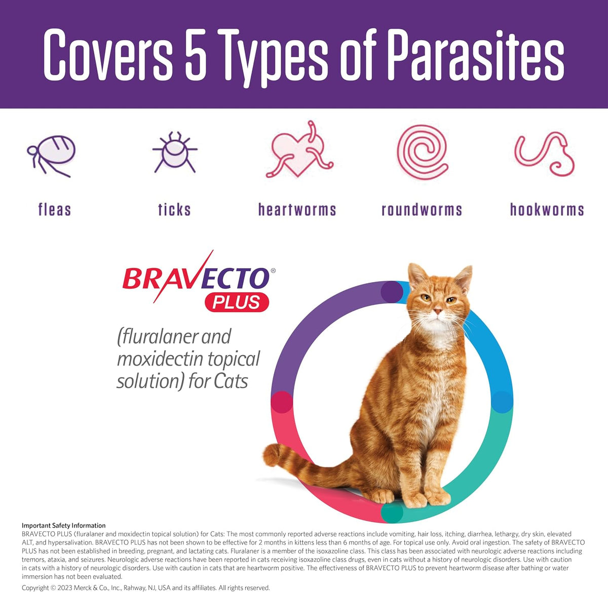 Bravecto Plus blue box packaging for medium sized cats