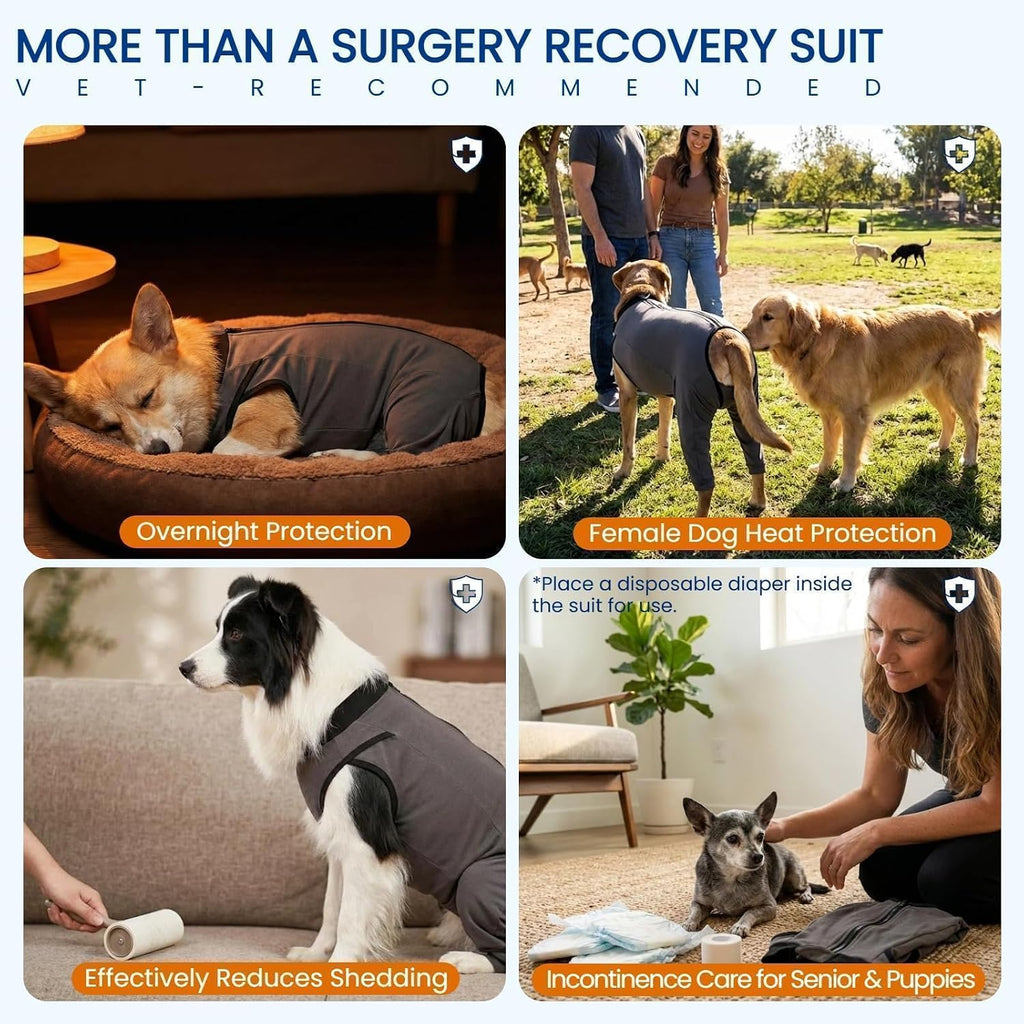 Comfortable surgical recovery suit for female dogs