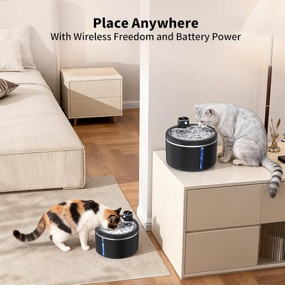 Battery operated pet fountain water level window