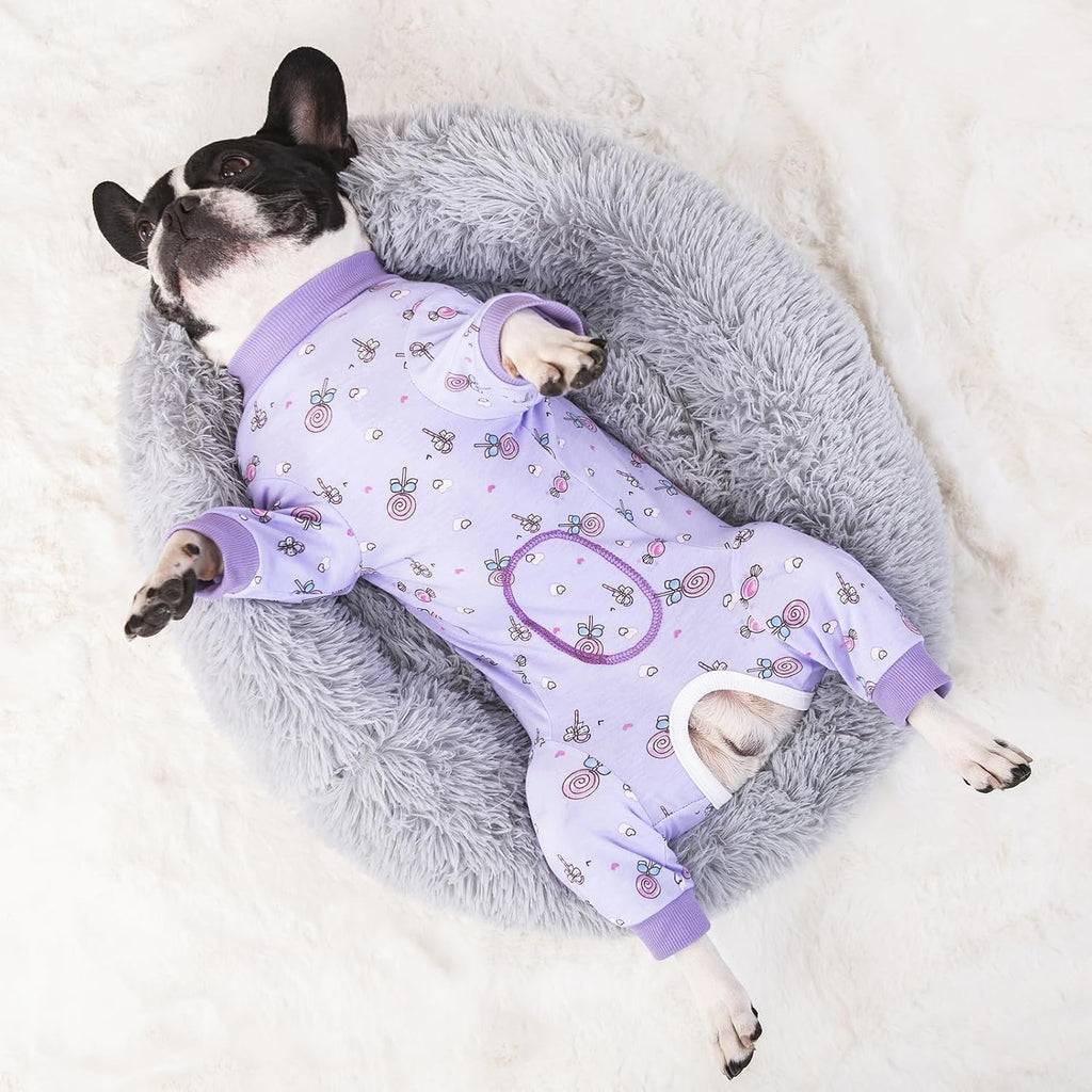 AITOLI long sleeve dog pajamas protecting abdominal wounds on a puppy