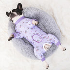 AITOLI long sleeve dog pajamas protecting abdominal wounds on a puppy