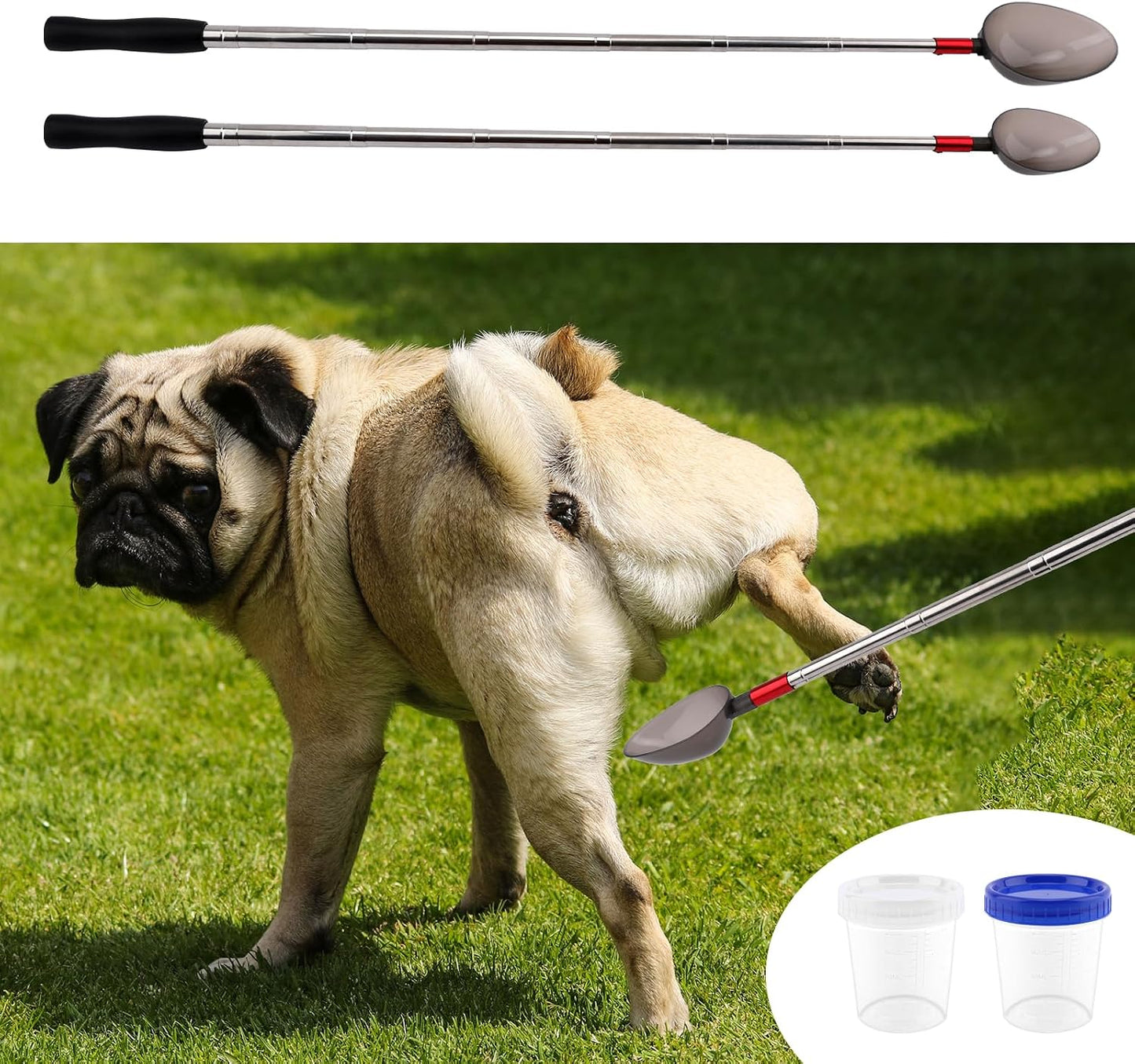 Premium dog urine sample catcher tool being prepared for at home wellness testing.