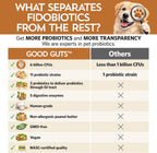 Fidobiotics Good Guts measuring scoop with loose stool relief probiotic powder.