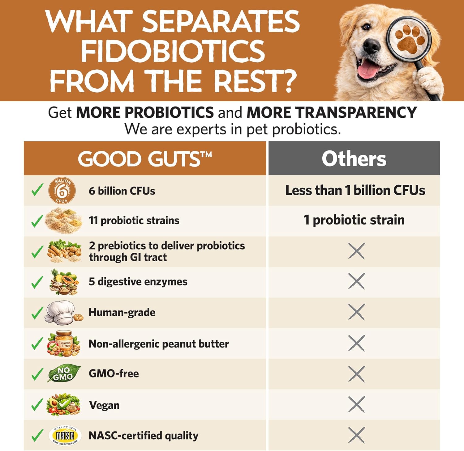 Fidobiotics Good Guts measuring scoop with loose stool relief probiotic powder.