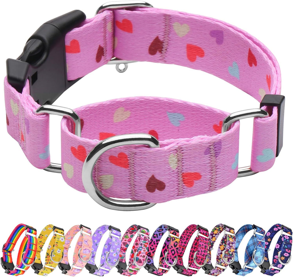 Hikiko premium training collar with secure metal attachment D ring