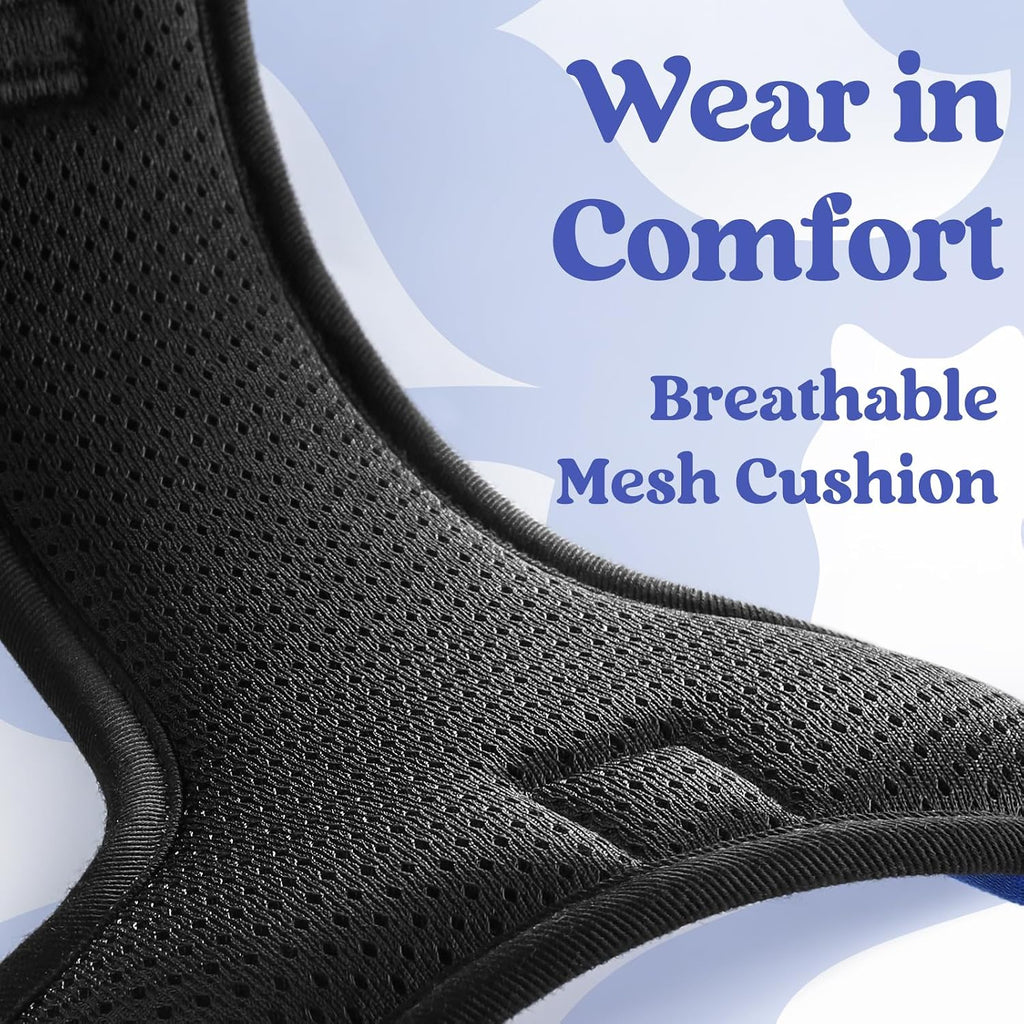 Heavy duty anti pull dog harness on large breed representation