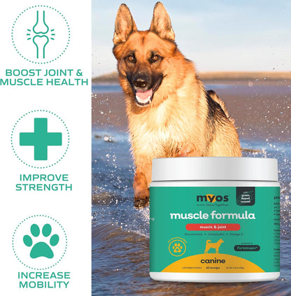 Premium natural dog joint and mobility powder supplement packaging details.