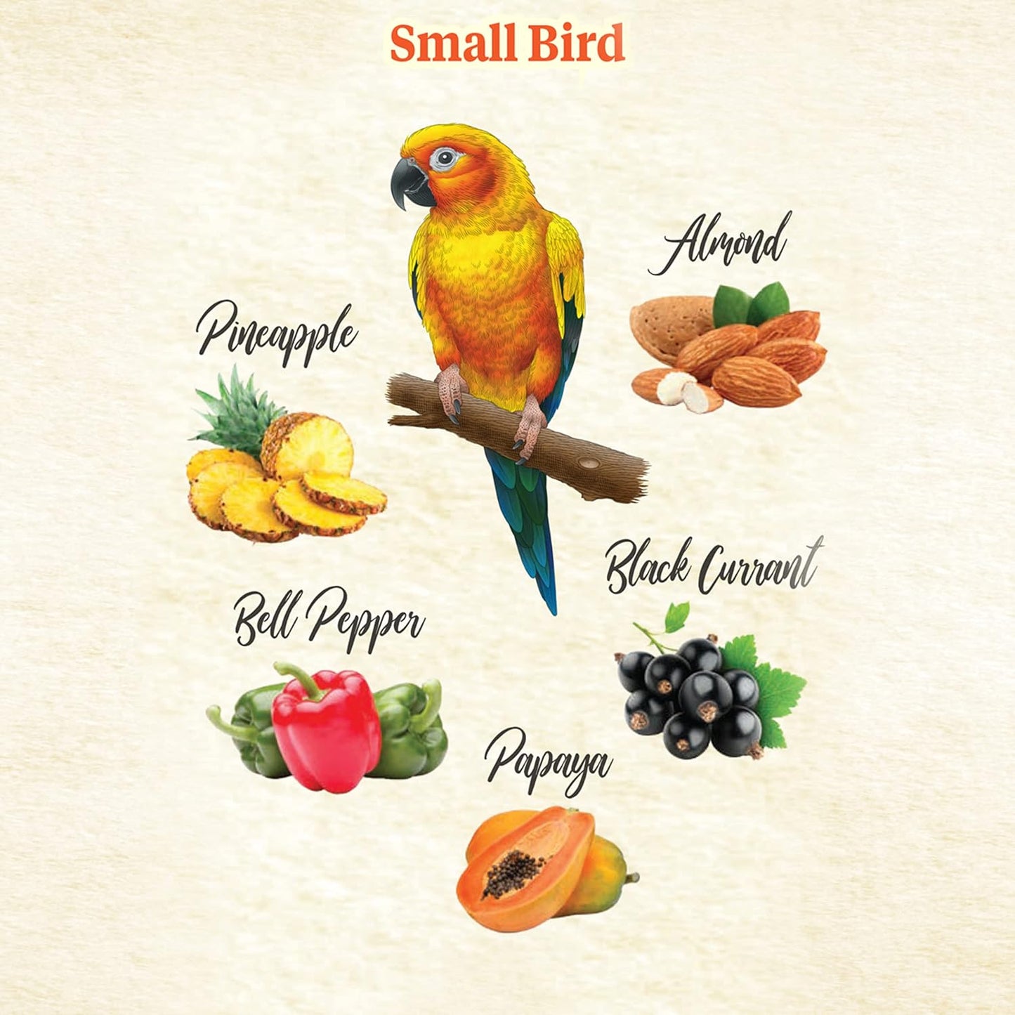Kaytee bird food snack for parakeets and cockatiels