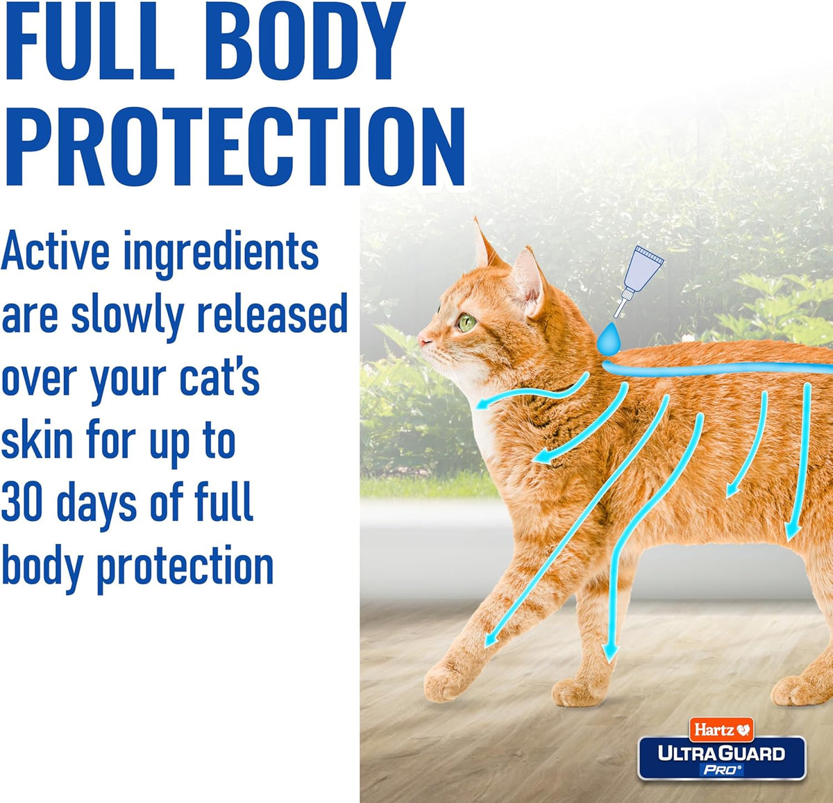 Authentic USA imported Hartz flea treatment for kittens back label instructions