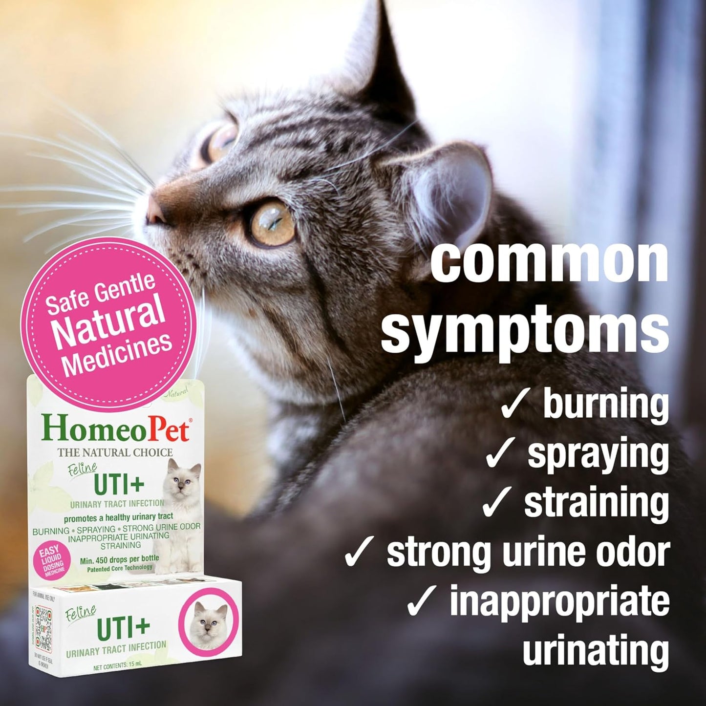 HomeoPet Feline UTI Plus packaging details for cat health