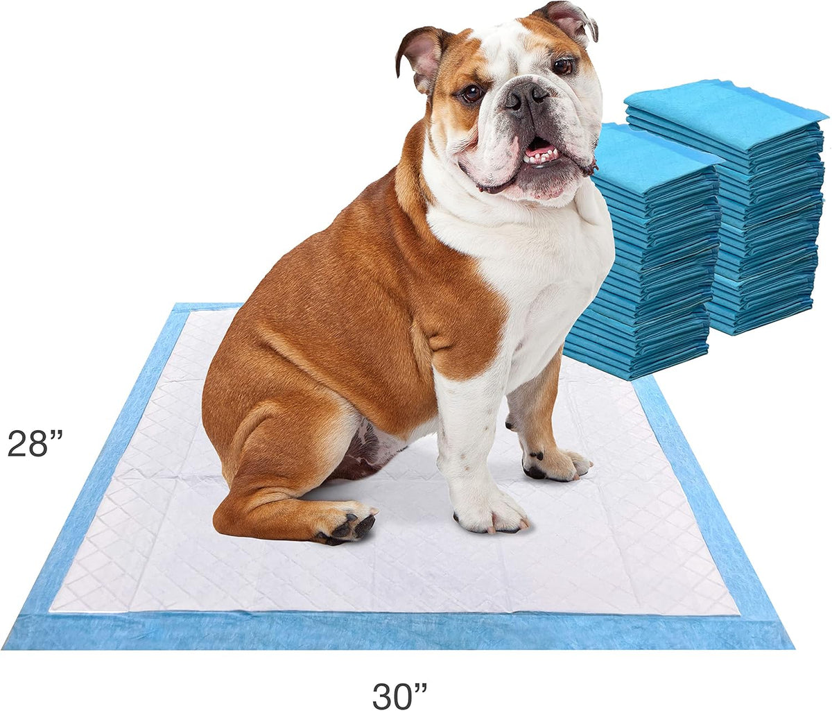 USA imported premium dog housebreaking puppy pads packaging back