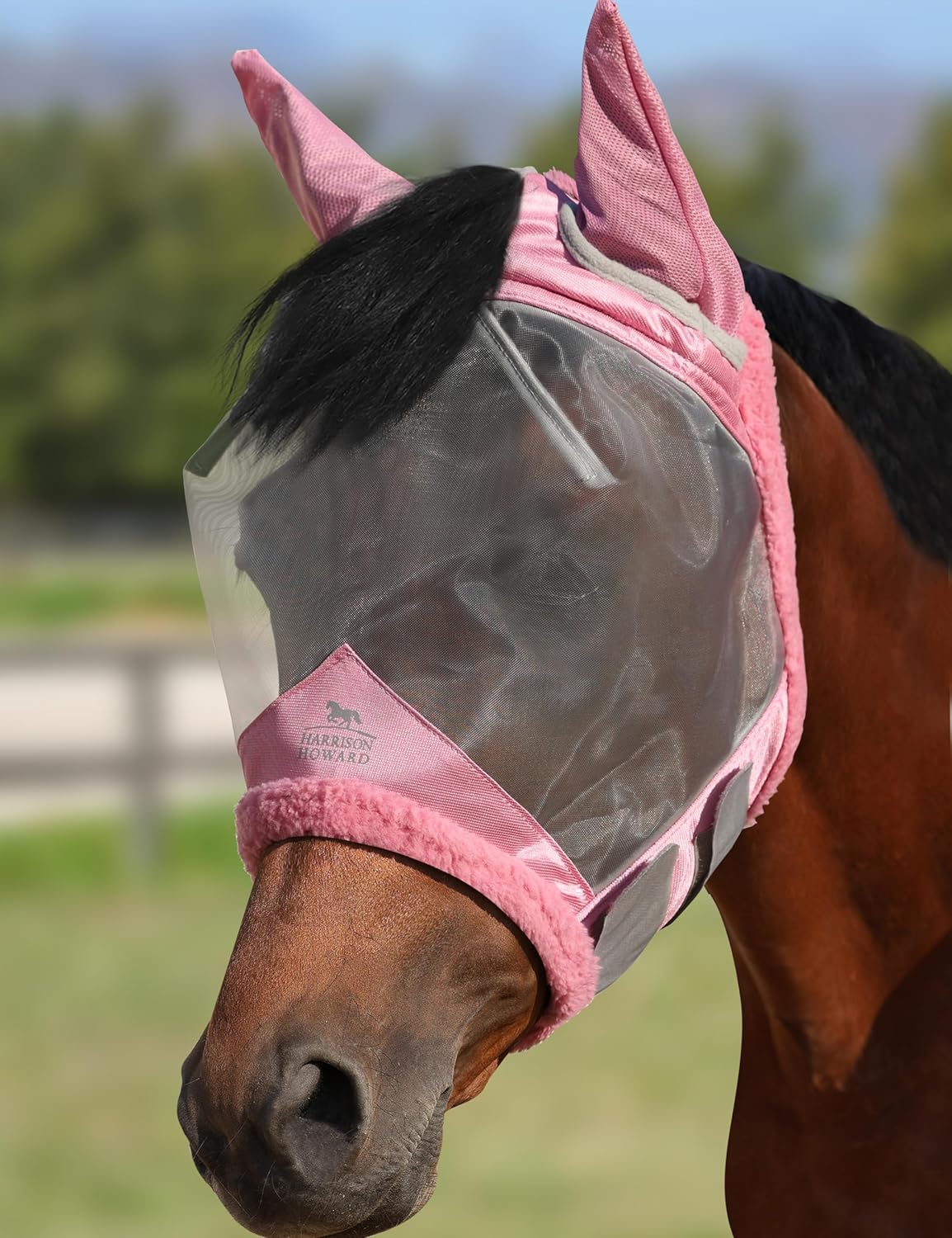 Harrison Howard CareMaster horse fly mask front view light pink