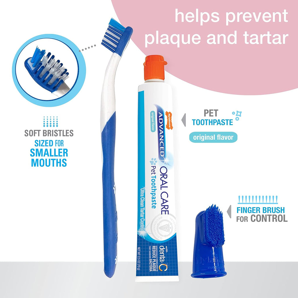 Nylabone puppy dental kit contents including toothpaste and brushes