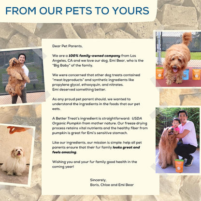 Rehydrated organic pumpkin treat showing soft texture suitable for sensitive stomach pets