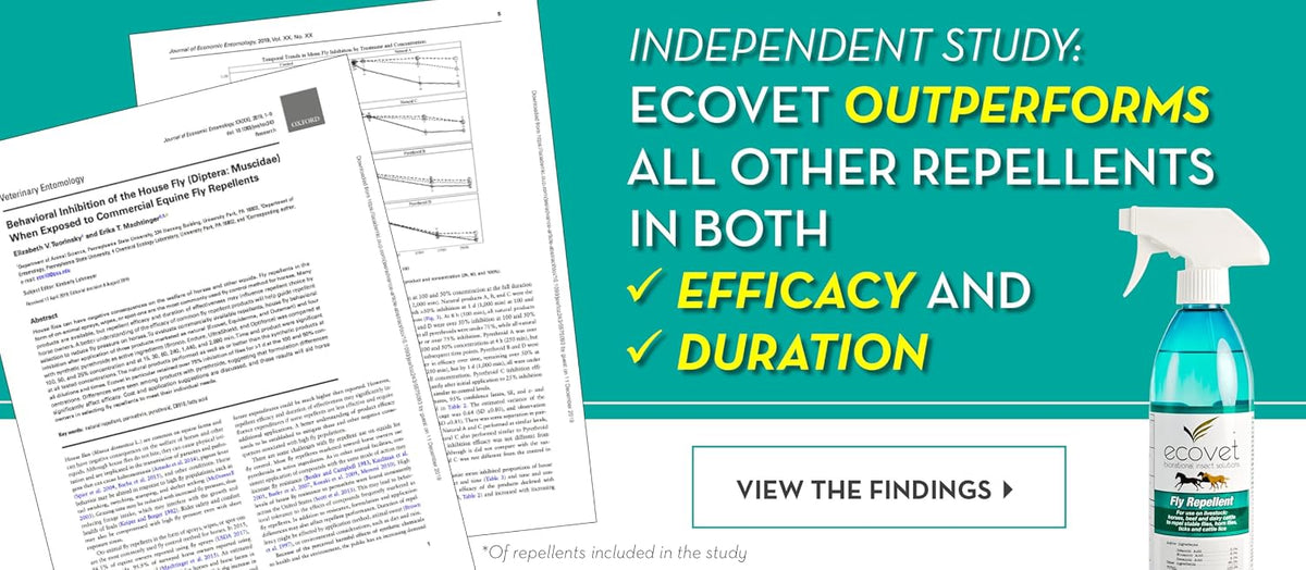 Ecovet eighteen ounce bottle natural fly protection showing active ingredients list