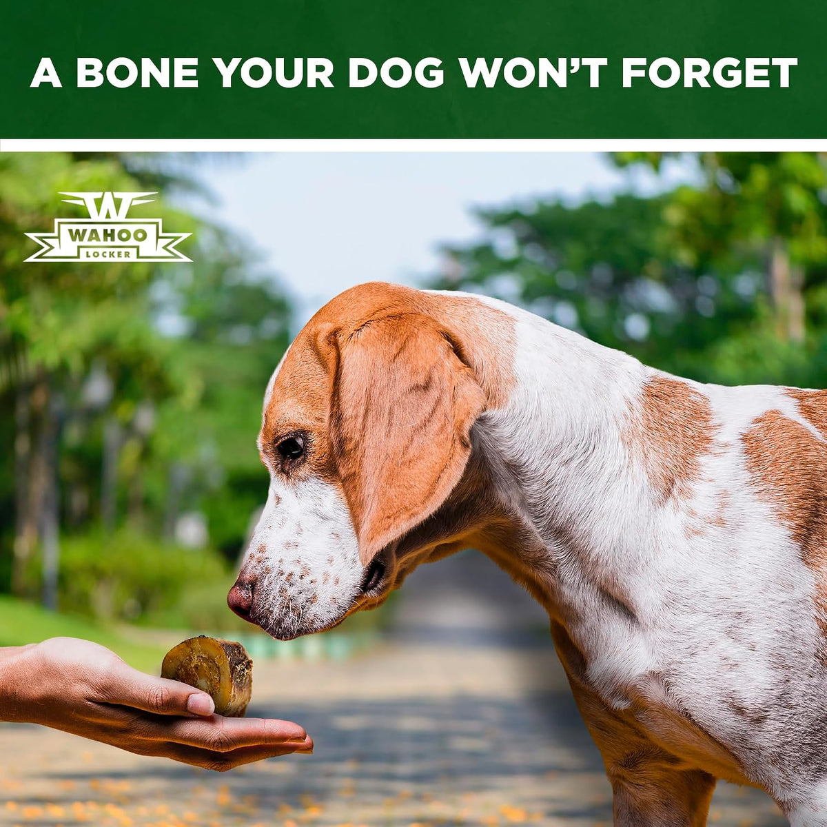 Smoked marrow bones for canine mental stimulation