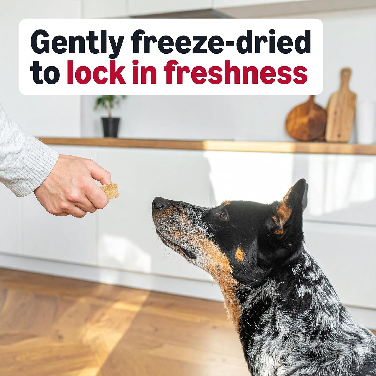 All life stages raw beef liver dehydrated pet treats for all dog breeds
