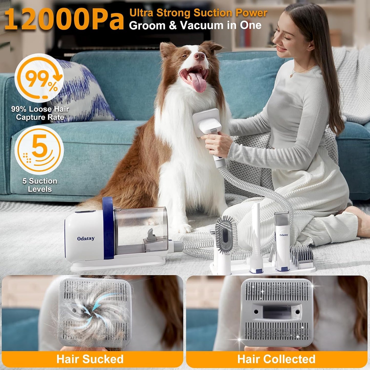 Odatay dog hair clipper and nail grinder attachments alongside the two liter dust cup