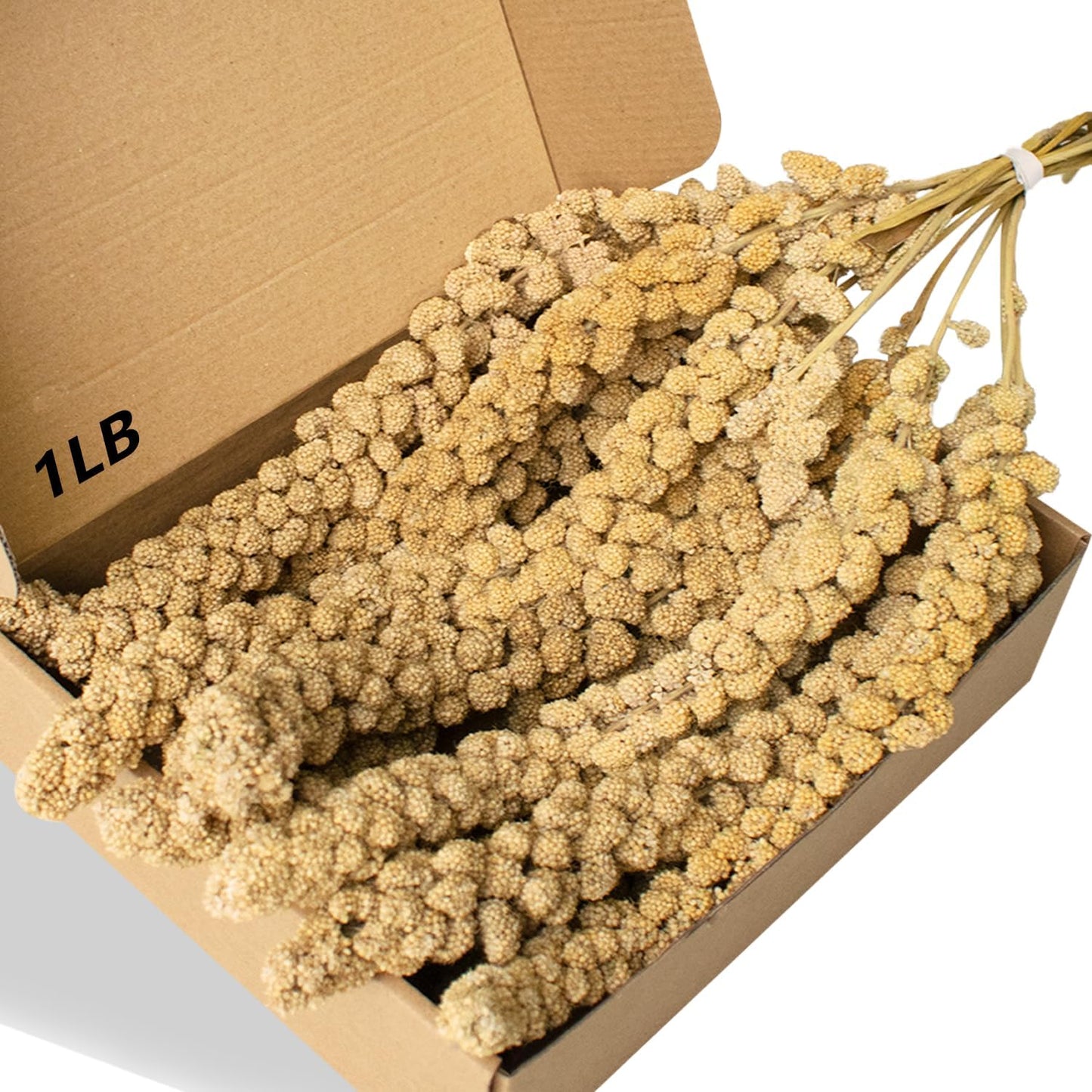 Jmxu's spray millet treat for birds front view