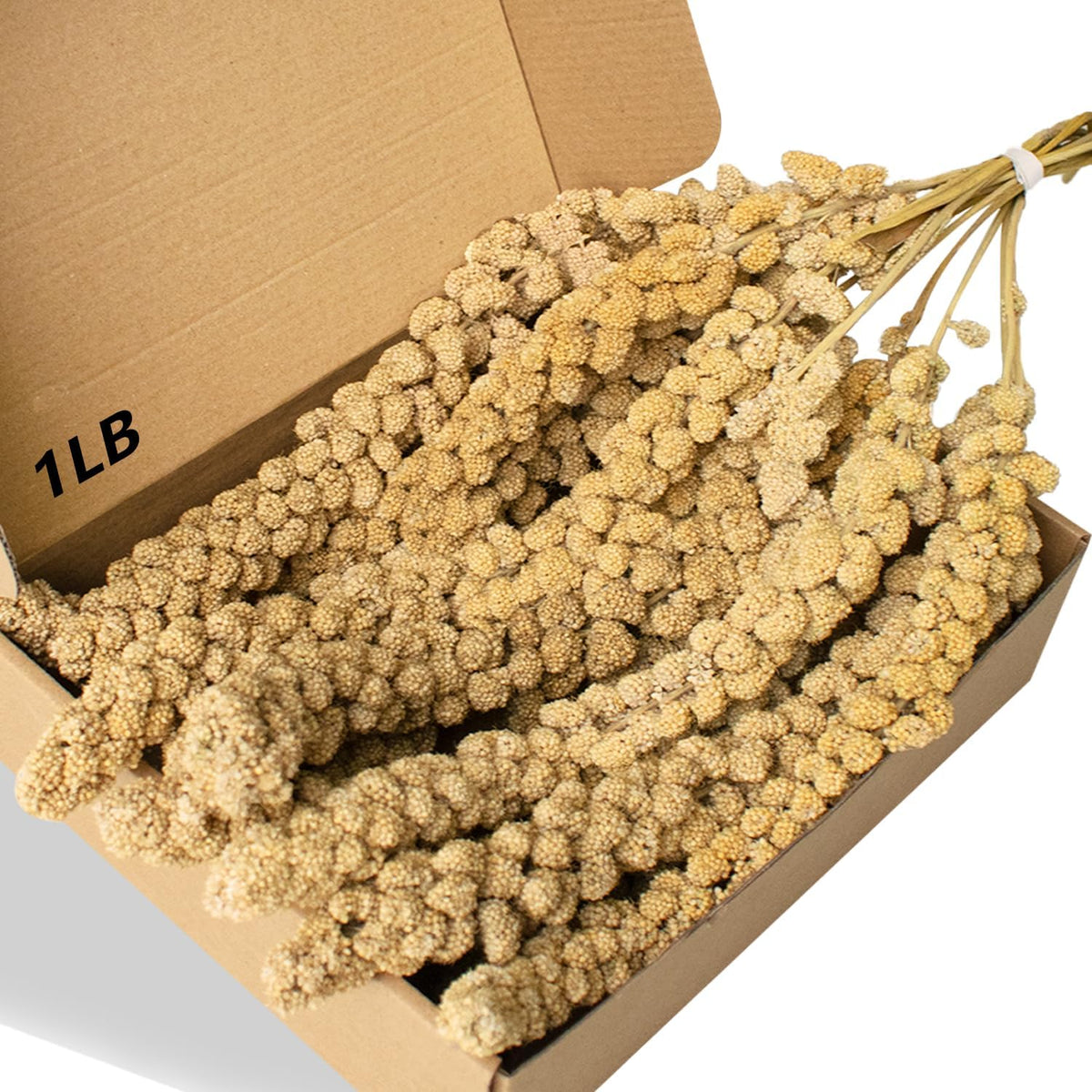 Jmxu's spray millet bird treat front view packaging