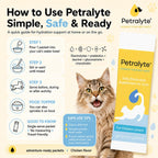 Pouring Petralyte cat hydration powder into a water bowl for daily fluid balance