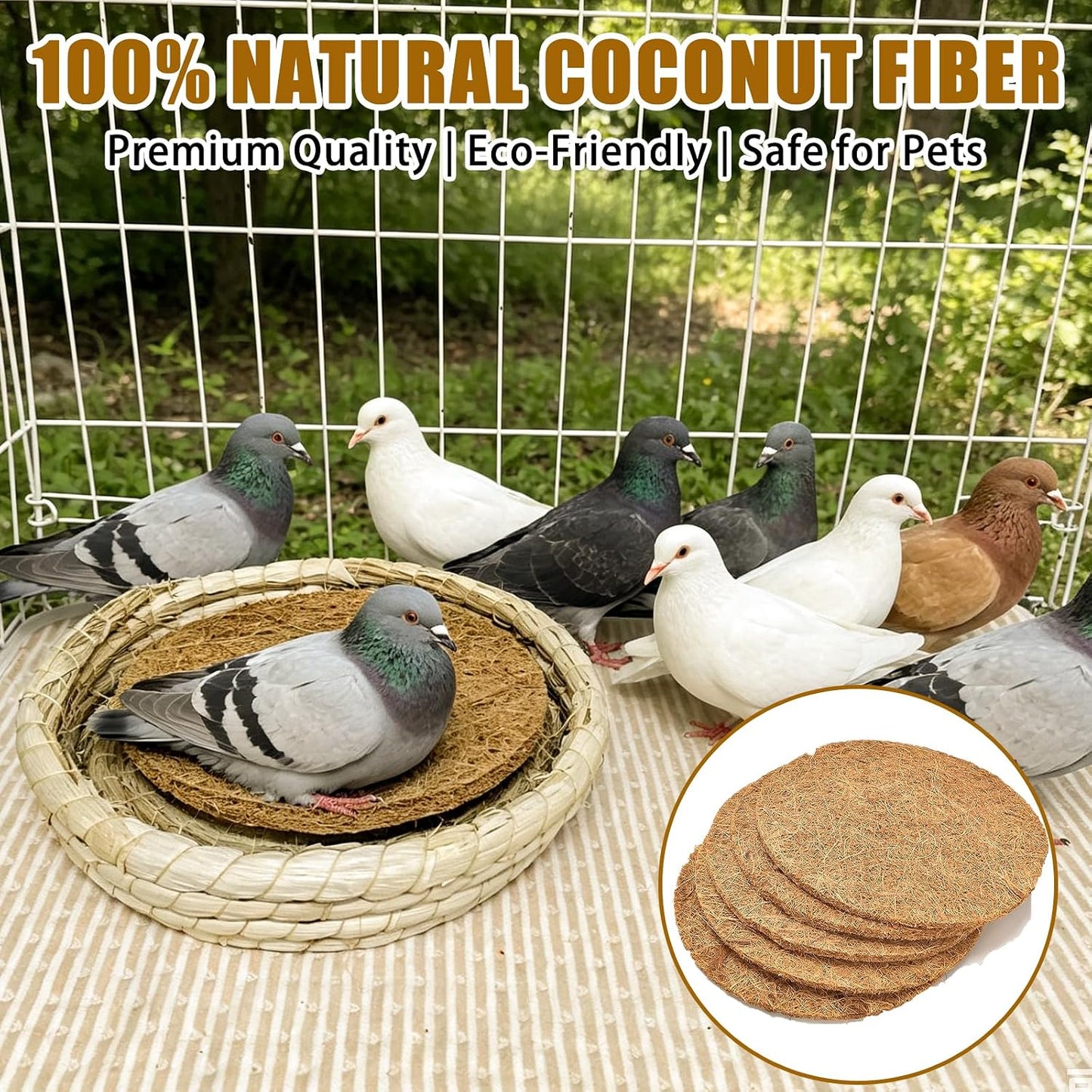 Kathson bird egg mat inside a breeding bowl for pigeons