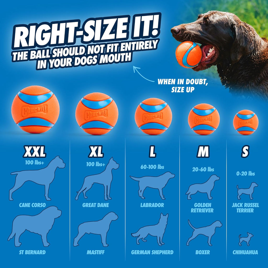 Chuckit! Ultra Ball floating in water for dog fetch.