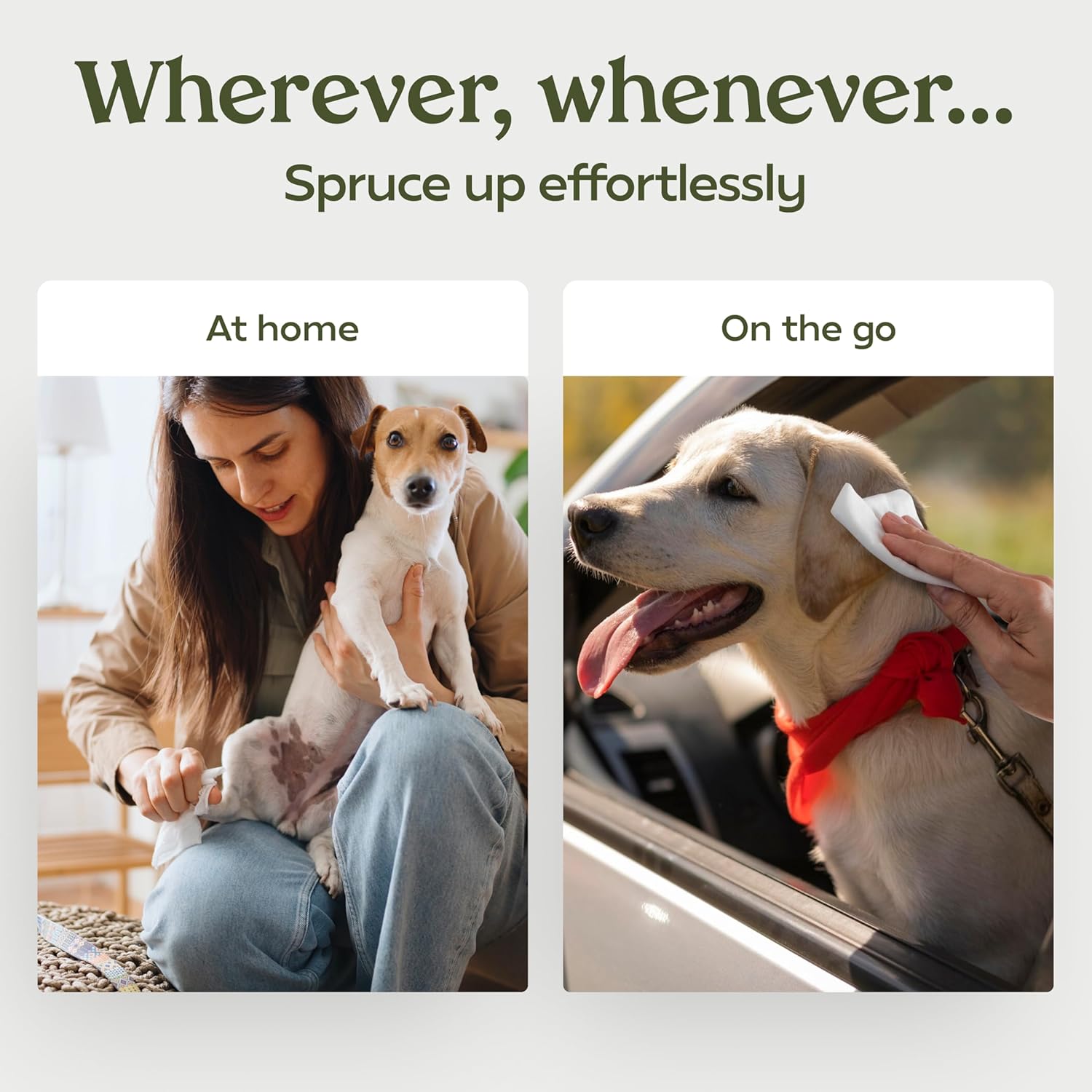 Thick moisture rich pet cleaning wipes for paws and butt.