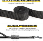 Fida premium dog lead automatic locking metal swivel hook attachment mechanism